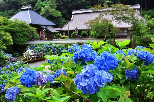 東光院