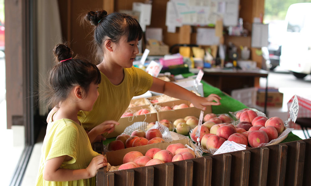 京野菜と果物の宝庫！海の京都エリアの「農産物直売所」