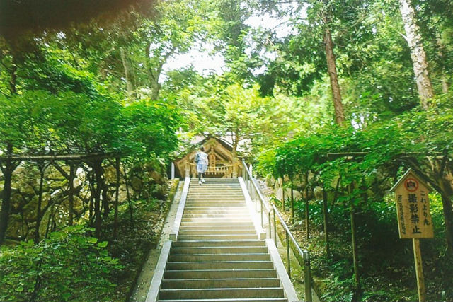 体験メニュー「ショートコースでまわる京丹後パワースポット （タクシープラン 元伊勢参拝コースA）」