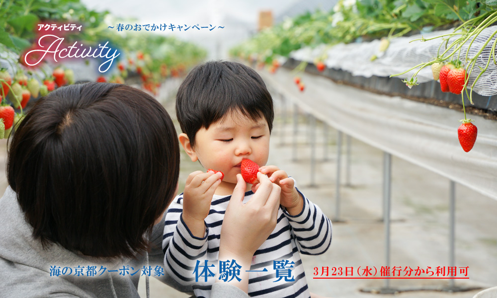 海の京都 春のおでかけキャンペーン 特集 海の京都観光圏 海の京都 春のおでかけキャンペーン 特集 海の京都観光圏