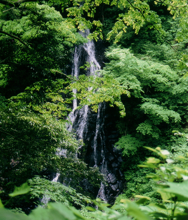 味土野ガラシャ大滝（京丹後市）
