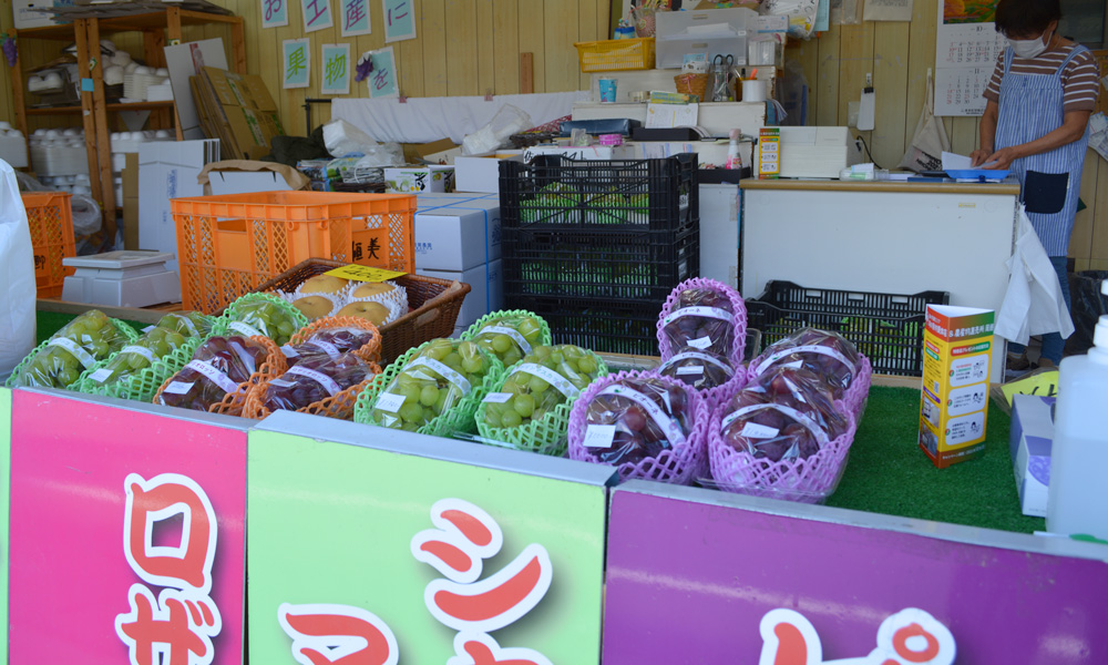 ⑯白岩恒美農園～うみのみえる丘～