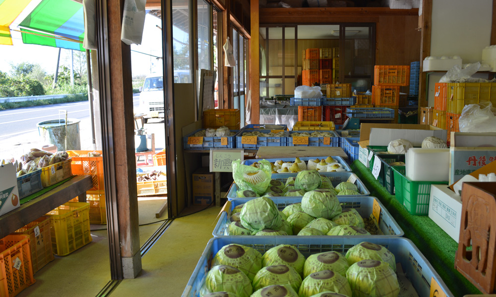 ⑰高田晴夫農園