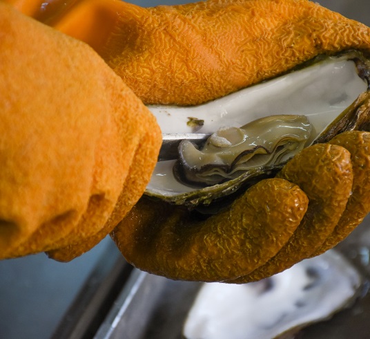 舞鶴湾かき小屋・美味星（おいすたぁ）