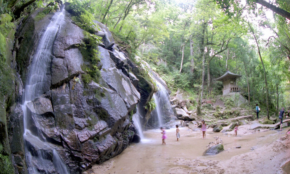 夏は涼を求める観光客で賑わいます