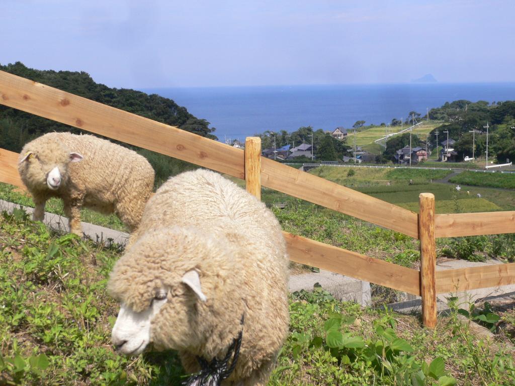 【舞鶴市】舞鶴ふるるファーム