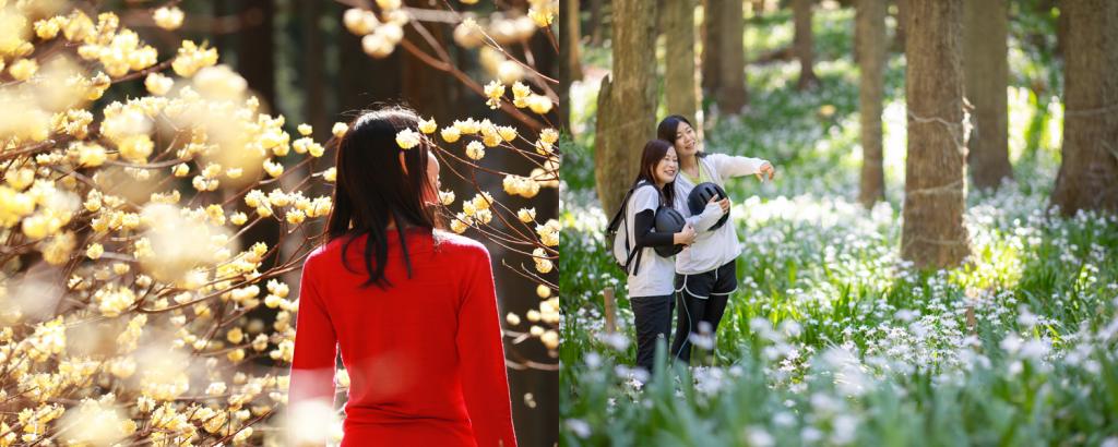 花の町「綾部」で季節のお花が楽しめます！