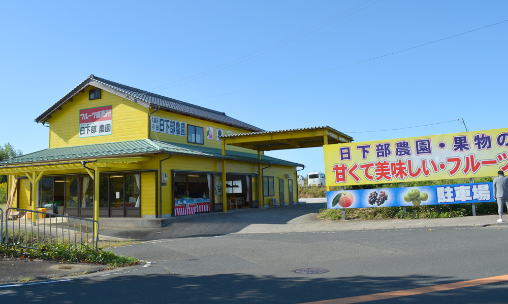 京丹後市久美浜で果物が買えるお店（直売所、道の駅など）