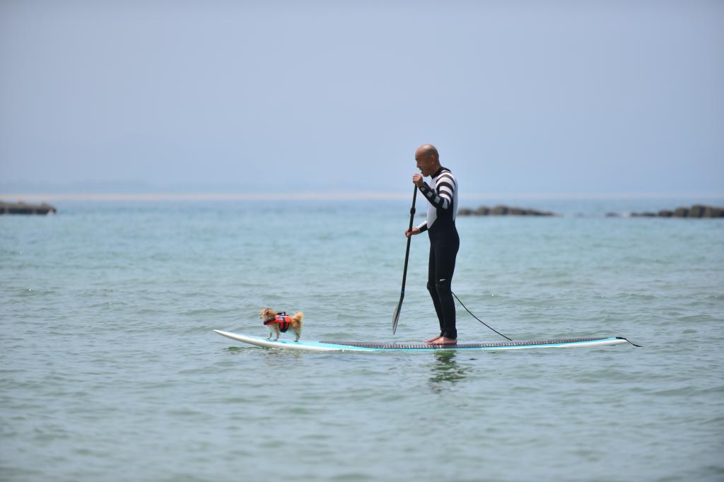 夕日ヶ浦海岸で楽しむ!みんなでワイワイSUP体験!
