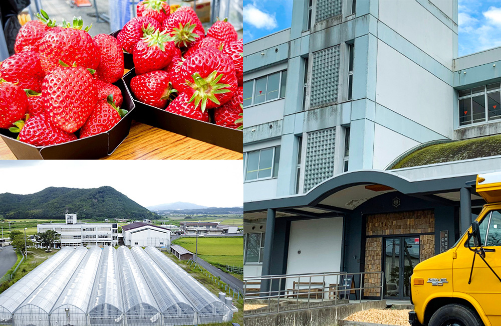 いちご摘み体験「THE 610 BASE」
