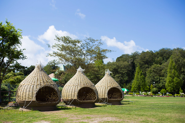 丹後王国「食のみやこ」（京丹後市）
