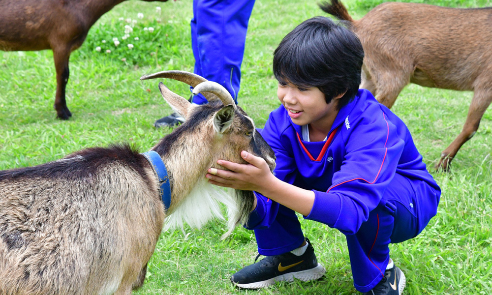 綾部ふれあい牧場（綾部市）