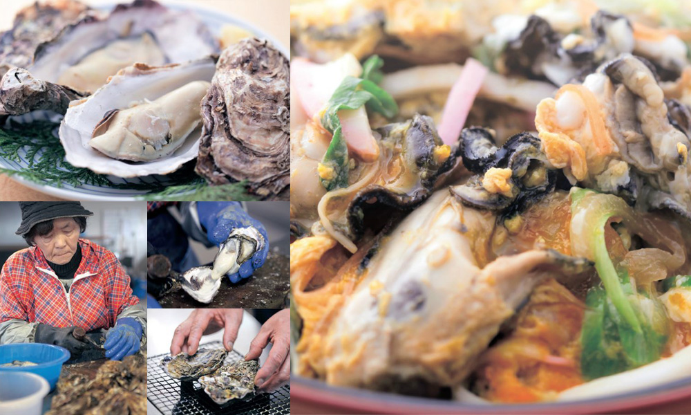 京都北部で海のミルク 岩がき 真牡蠣 をランチで食す 特集 海の京都観光圏 京都北部で海のミルク 岩がき 真牡蠣 をランチで食す 特集 海の京都観光圏