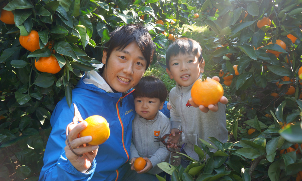 みかん（季節・時期：10月中旬～11月下旬）