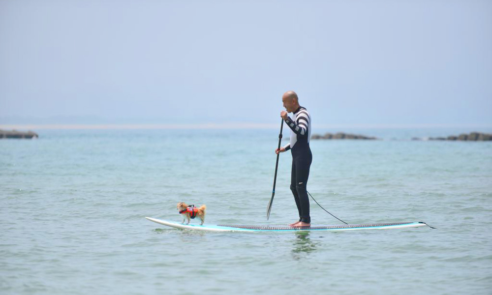 京丹後市／夕日ヶ浦海岸で楽しむ！みんなでワイワイSUP体験！（135°EAST）