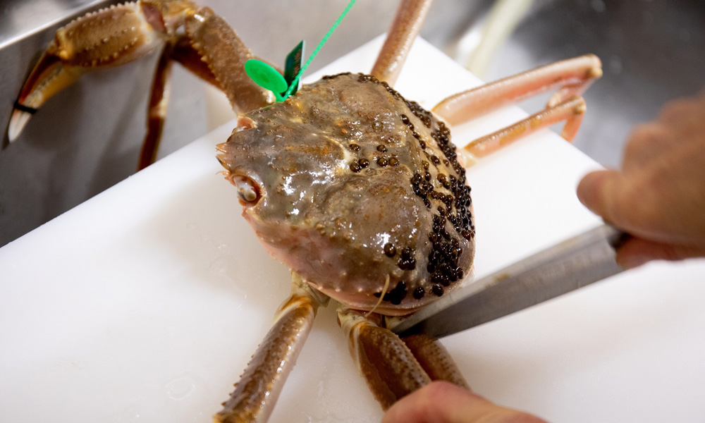 舞鶴引揚記念館のある東舞鶴のお食事処
「魚源・ととげん」（東舞鶴店）