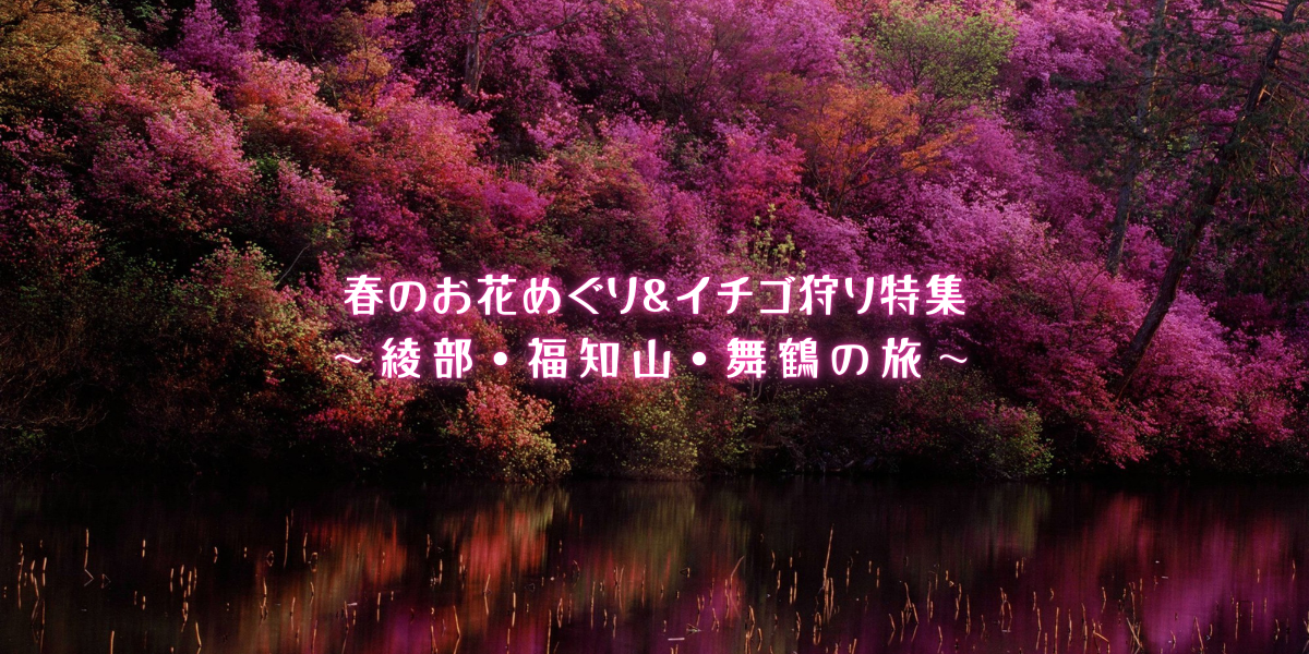春のお花めぐりとイチゴ狩り 〜綾部、福知山、舞鶴の旅〜（080411～080430）